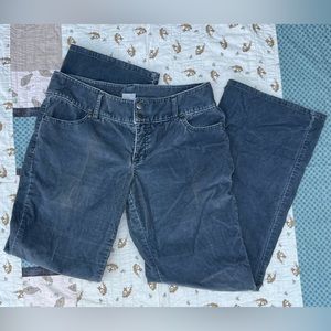 Caslon Corduroy Pants